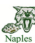 Go to Naples High School Site
